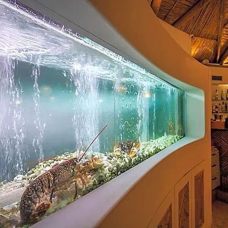 Hotel Encosta Do Club